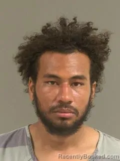 Mugshot of JORDAN LERON MCBRIDE