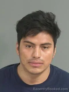 Mugshot of DELMAR OSBELI SALEZ SANCHEZ