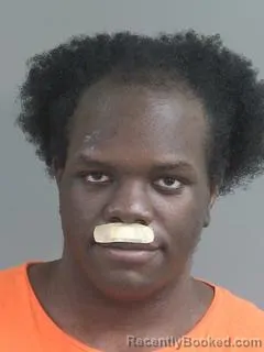 Mugshot of JOHNNY WILSON