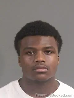 Mugshot of RENARDO LEBRON SMALLS JR