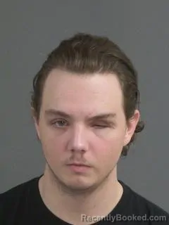 Mugshot of LOGAN JOHN BRUDZINSKI