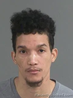 Mugshot of PAUL VIVIAN CHEN
