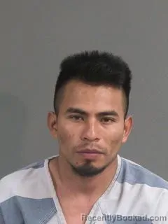 Mugshot of JOSE DANIEL LAINEZ-VAZQUEZ