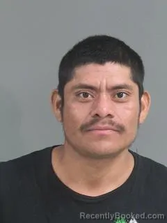 Mugshot of MICHALE PEREZ booked in Charleston County, South Carolina on March 12, 2026