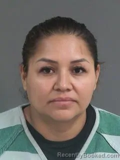 Mugshot of LIZBETH MAYEN ULLOA booked in Charleston County, South Carolina on May 18, 2026