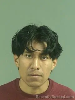 Mugshot of JHONY LEVI ROBLERO MORALES booked in Charleston County, South Carolina on June 29, 2026