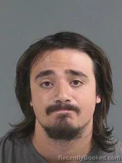 Mugshot of ETHAN FANN booked in Charleston County, South Carolina on July 3, 2026
