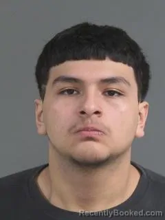 Mugshot of Nicholas Estrada Sandoval booked in Charleston County, South Carolina on August 25, 2026