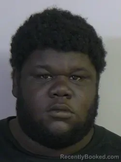 Booking photo from Tuscaloosa County, Alabama