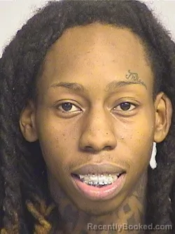 Mugshot of Gaines