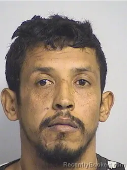 Mugshot of Aviea Herrera