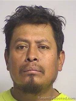 Mugshot of Hernandez