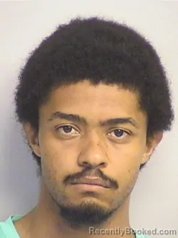 Mugshot of Hamilton booked in Tuscaloosa County, Alabama on April 25, 2026