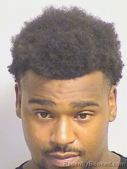 Mugshot of Banks-Watkins booked in Tuscaloosa County, Alabama on August 2, 2026