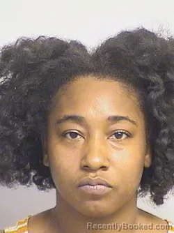 Mugshot of Teacher booked in Tuscaloosa County, Alabama on October 4, 2026