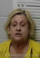 Mugshot of CHERIE WILLIAMSON