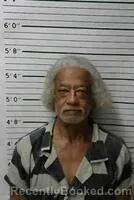 Mugshot of WILLIE WADE JR