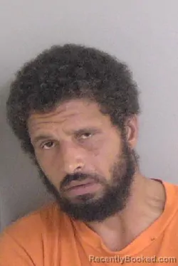 Mugshot of Whitney Terrell Irvin