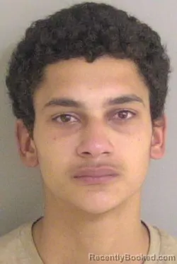 Mugshot of Jerry Antonio Martin