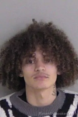 Mugshot of Tarese Joseph Garrett