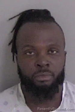 Mugshot of Carmille Paul Anderson