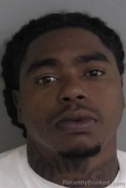 Mugshot of Clarence J Third Williams