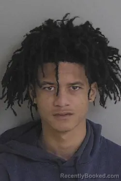 Mugshot of Trevor Daquawan Johnson