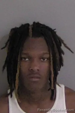 Mugshot of Kyngston L Alverez