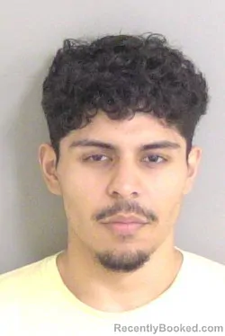 Mugshot of BANEGAS CISNEROS