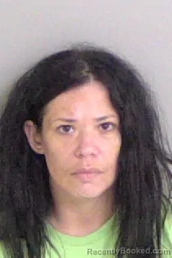 Mugshot of Ann Maureen Krevolt