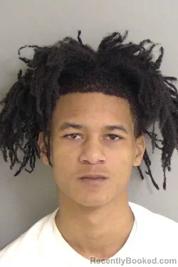 Mugshot of Trevor Daquawan Johnson