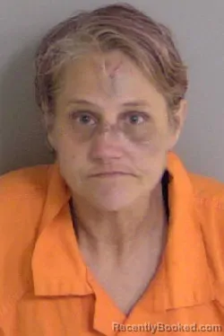 Mugshot of Alison Brooke Wheeler booked in Ascension County, Louisiana on October 7, 2026