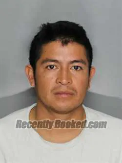 Booking photo from Charlotte County, Florida