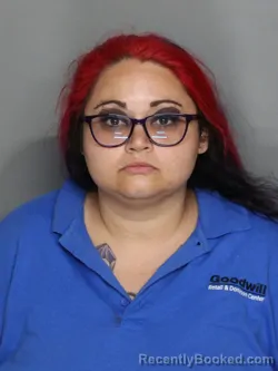 Mugshot of CHRISTINA MARIE ALTIC