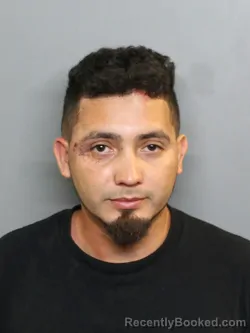 Mugshot of EDGAR ALVAREZ booked in Charlotte County, Florida on July 5, 2026