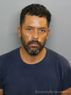 Mugshot of ISRAEL ALVARADO GUTIERREZ booked in Charlotte County, Florida on July 6, 2026