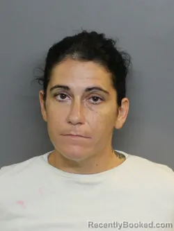 Mugshot of KATIE LYNN ALBRIGHT booked in Charlotte County, Florida on July 29, 2026