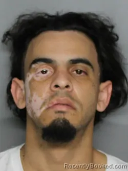 Mugshot of ADRIAN DAMIAN BLANCO ORTEGA