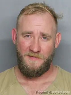 Mugshot of ANDREW DONALD BLAHNIK