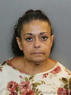 Mugshot of Becky Lee Burke booked in Charlotte County, Florida on August 16, 2026