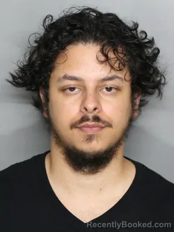 Mugshot of DAVID ALEXANDER BONILLA