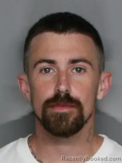 Mugshot of DAVID ALAN BROWN