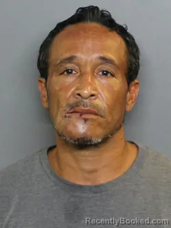 Mugshot of GIOVANNI RAFAEL BLANCO booked in Charlotte County, Florida on June 23, 2026