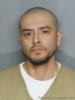 Mugshot of HECTOR BALDOVINOS