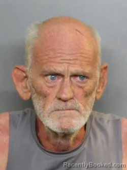 Mugshot of Harry Alvin Brodowsky booked in Charlotte County, Florida on August 10, 2026