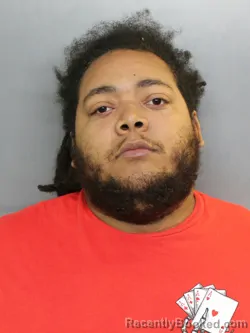 Mugshot of RAYSHAWN LEON BURNEY booked in Charlotte County, Florida on July 29, 2026