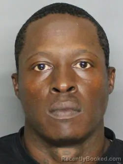 Mugshot of RIDGE SHAMAN BRISTOL