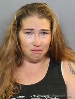 Mugshot of Samantha Michelle Baxter booked in Charlotte County, Florida on October 22, 2026