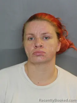 Mugshot of TRESA KAY BURRELL booked in Charlotte County, Florida on May 12, 2026