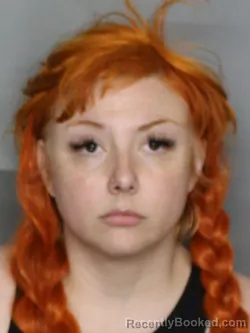 Mugshot of TONI MARIE BRYAN